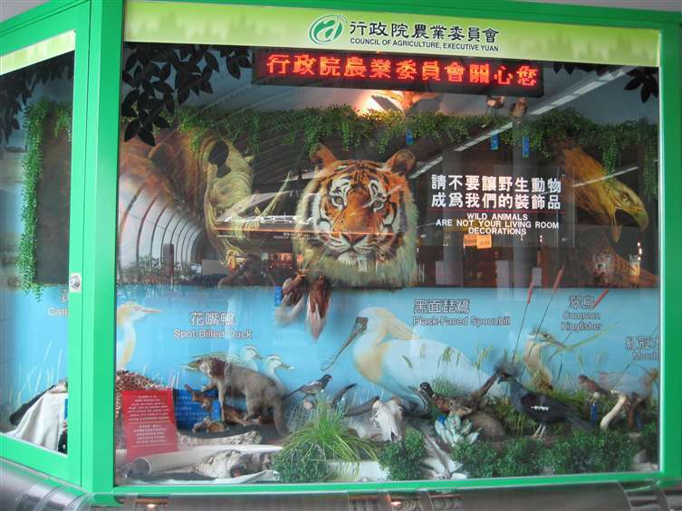 Click to go back