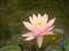 DSCF0569.JPG