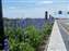 DSCF0178.JPG