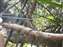 DSCF0478.jpg