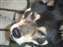 DSCF2313.JPG
