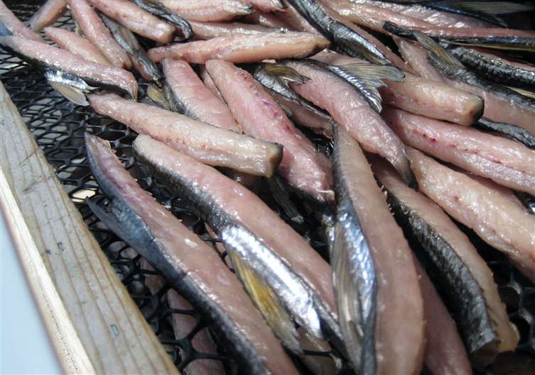 Click to go back