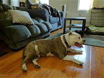 Click for large image