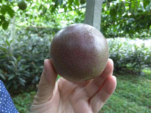 Click for large image