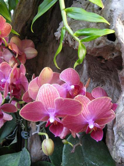 Click to go back