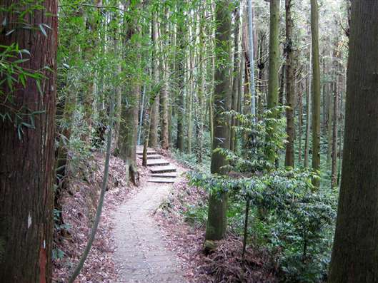 Click for large image
