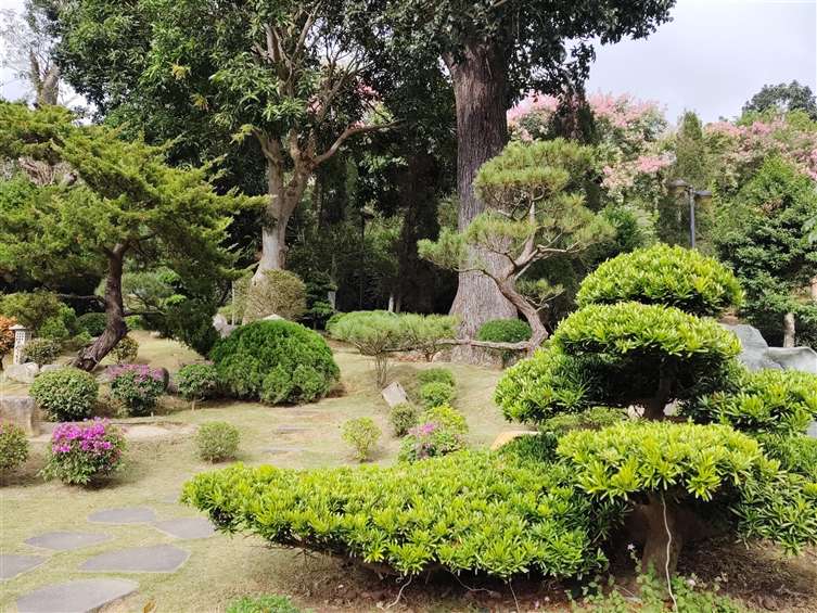 Click to go back