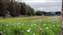 IMG_20191218_134930854.jpg