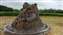 IMG_20191220_112827727.jpg