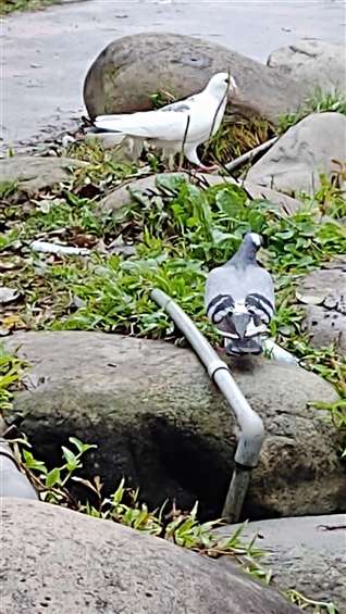 Click to go back