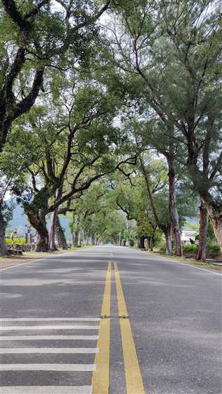 Click to go back