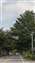 IMG_20201102_101754156.jpg