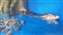 IMG_20201116_103119272.jpg