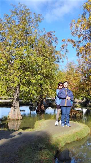 Click to go back