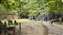 IMG_20200814_135115063.jpg