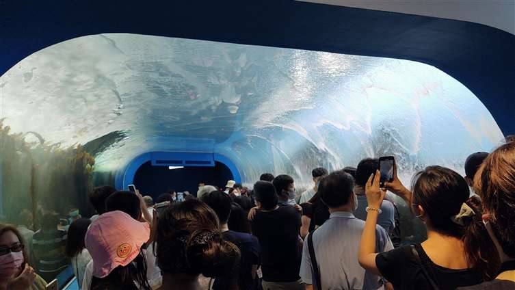 Click to go back