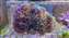IMG_20200922_145257022.jpg