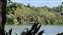 IMG_20200923_105401663.jpg