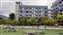 IMG_20210117_161022796.jpg