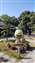 IMG_20210221_100219795.jpg