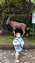 IMG_20210302_112354798_BURST000_COVER_TOP.jpg