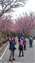 IMG_20210304_121731262.jpg
