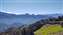 IMG_20211205_101622398.jpg