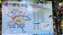 IMG_20211205_111227958.jpg