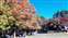 LINE_ALBUM_2021126_211206_4.jpg