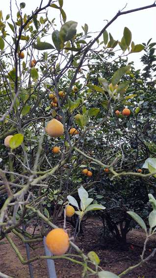 Click to go back