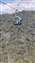 IMG_20211027_135941359_BURST000_COVER.jpg