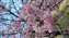 IMG_20220210_151003683_MP.jpg