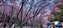 line_887629474718489.jpg