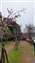 IMG_20220213_145318837.jpg