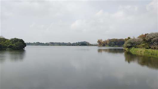 Click for large image