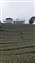 276134381_10227022039887595_2076513442528166002_n.jpg