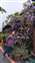 IMG_20220319_135014479_BURST000_COVER_TOP.jpg
