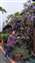 IMG_20220319_135014479_BURST001.jpg