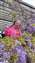 IMG_20220319_140729403_BURST000_COVER_TOP.jpg