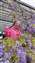 IMG_20220319_140729403_BURST001.jpg