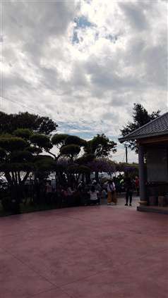 Click for large image