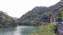 IMG_20220329_124531449.jpg