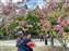 LINE_ALBUM_202244花旗木_220404_0.jpg