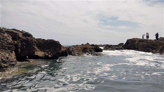 Click for large image