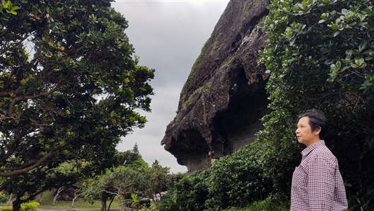 Click for large image