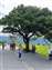 LINE_ALBUM_20220409～10台東二日遊_220410_14.jpg