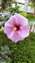 IMG_20220425_162136835.jpg