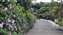IMG_20220425_164116256.jpg