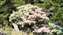 LINE_ALBUM_2022_53.4.25_220425.jpg