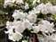 LINE_ALBUM_2022_54.4.25_220425.jpg